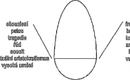 Dealing with the issue of the picture cycle and series of videofilms as a model of art work excerpt from a doctoral thesis