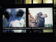 Oswaldo Macia, The Dog Barks, but it makes no difference to the camel, 2006. Lightbox, audio.