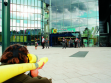 Attack on Raiffeisen Bank, Festival of Regions, Linz, 2003.   Photo: Markus Seidl  