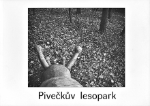 Zapletalová Veronika: Pivečkův lesopark