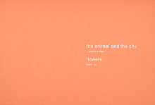 J. August Buehler, Martin Zet: the animal and the city and flowers